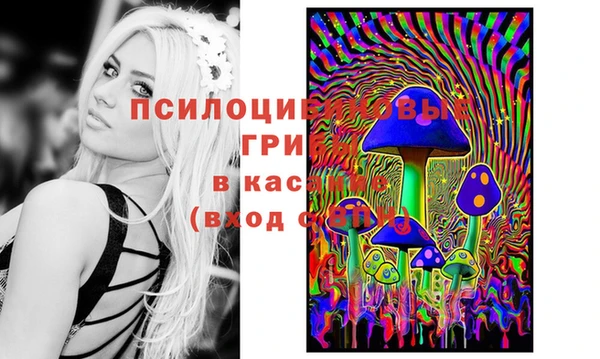 первитин Заводоуковск